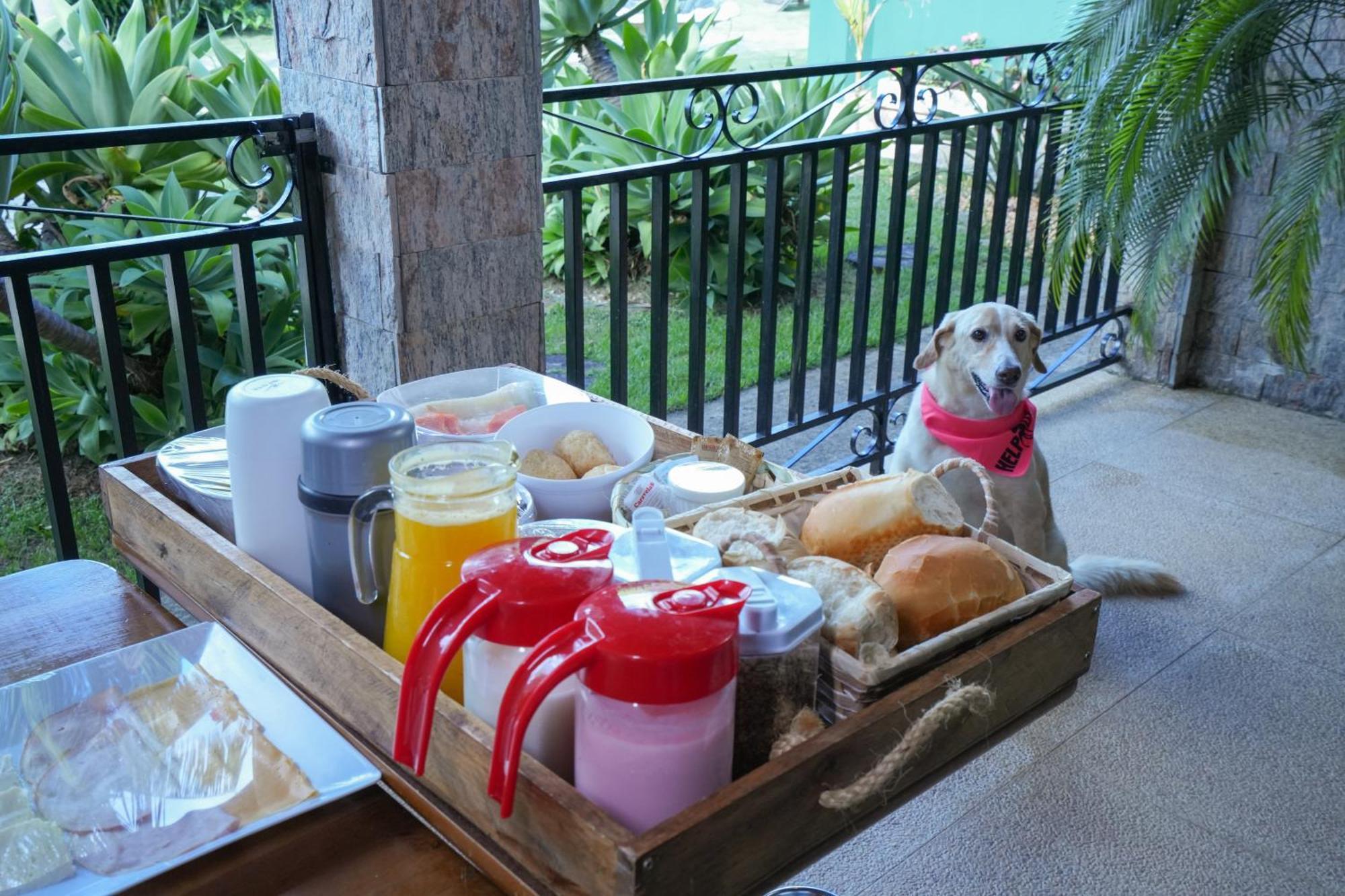 Villa Aye Pousada Boutique Petfriendly Socorro  Exterior foto