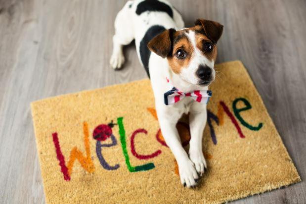 Villa Aye Pousada Boutique Petfriendly Socorro  Exterior foto